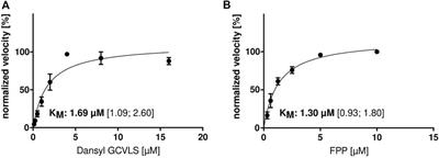 Analyzing the postulated inhibitory effect of Manumycin A on farnesyltransferase